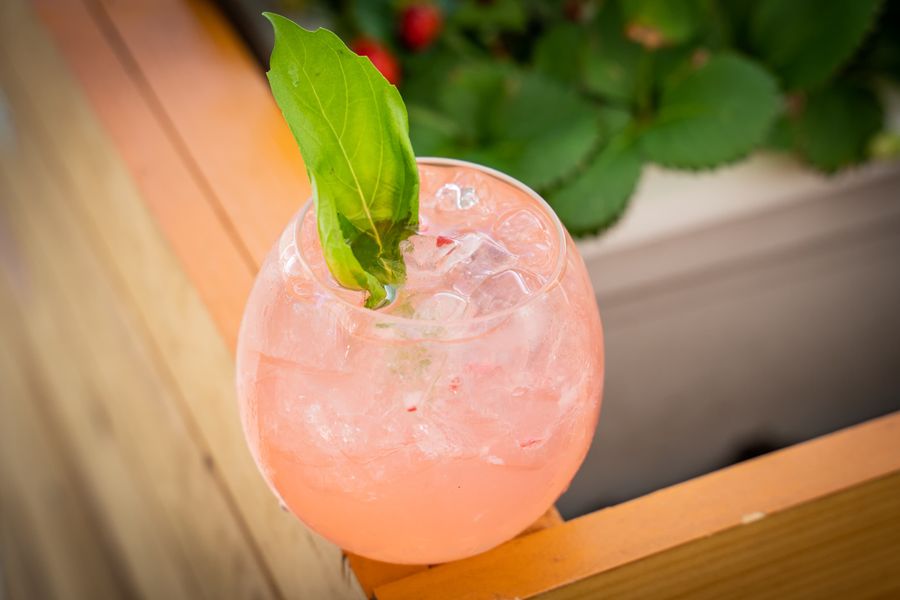 Drinks photo