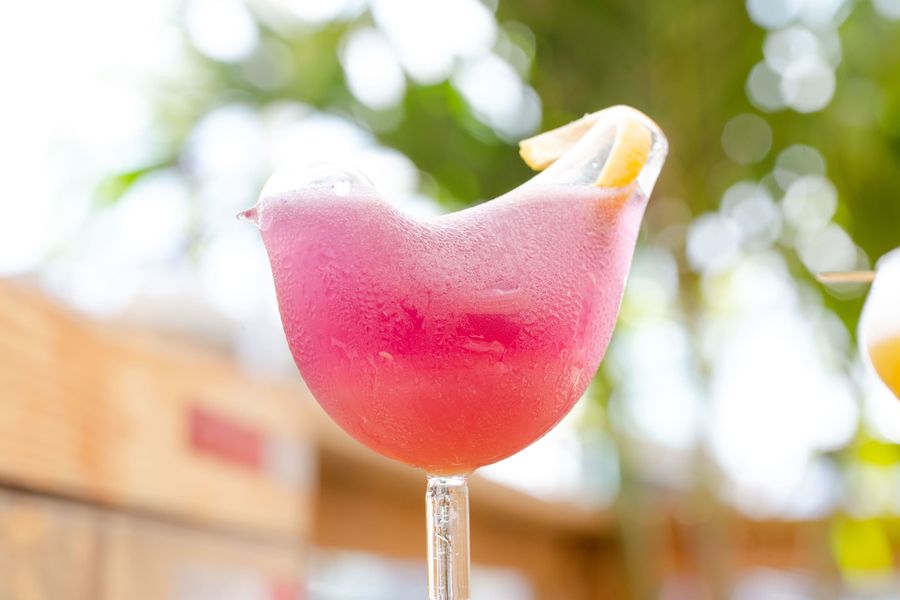 Drinks photo