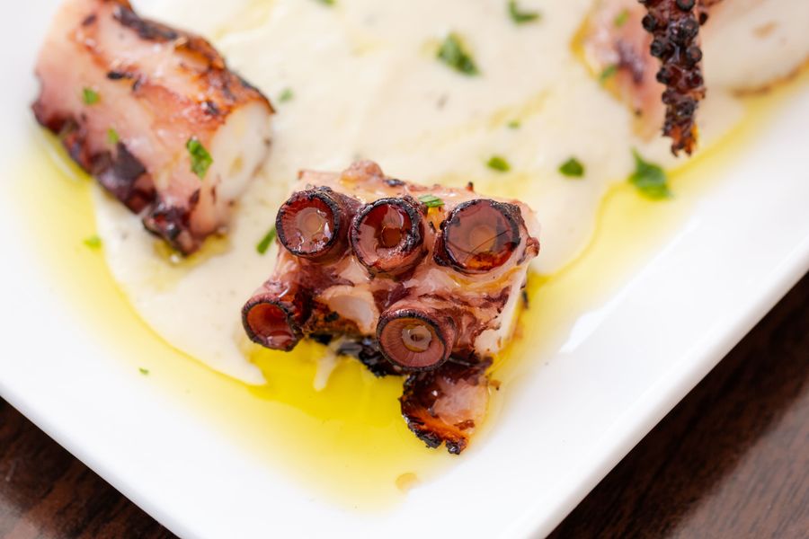 Food photo