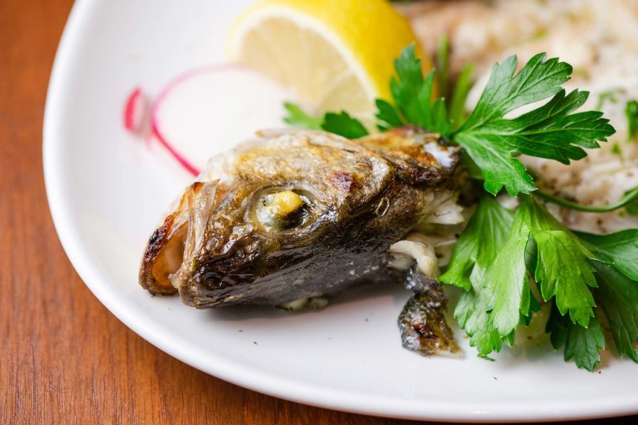 Food photo