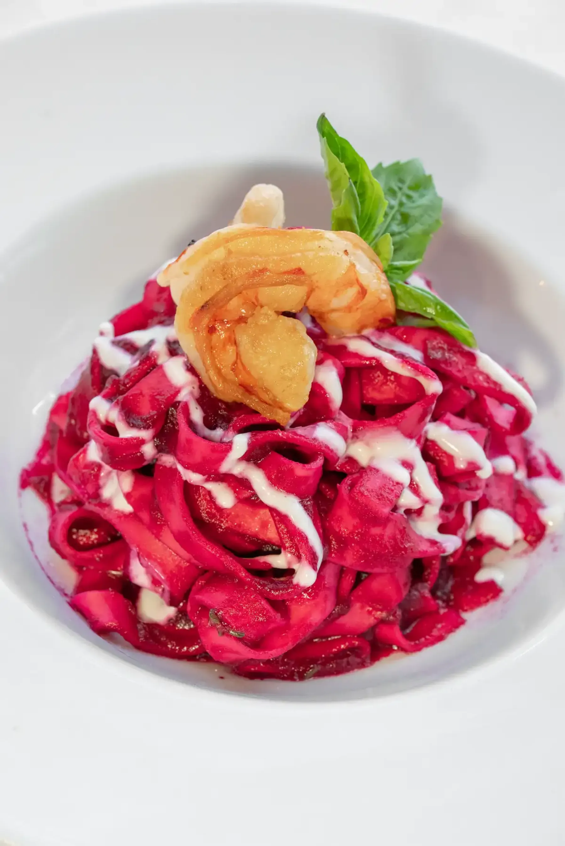 Begin Your Ora Experience