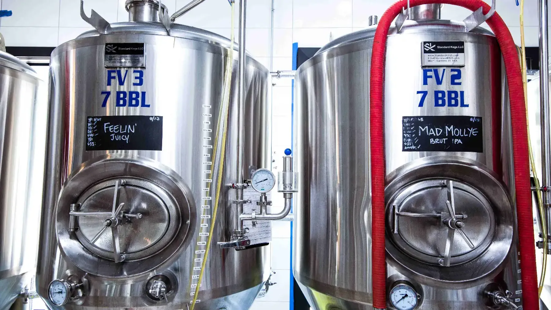  AT DOCKSIDE, WE BELIEVE IN KEEPING THINGS EXCITING – WE ARE MORE THAN JUST A BEER BAR.